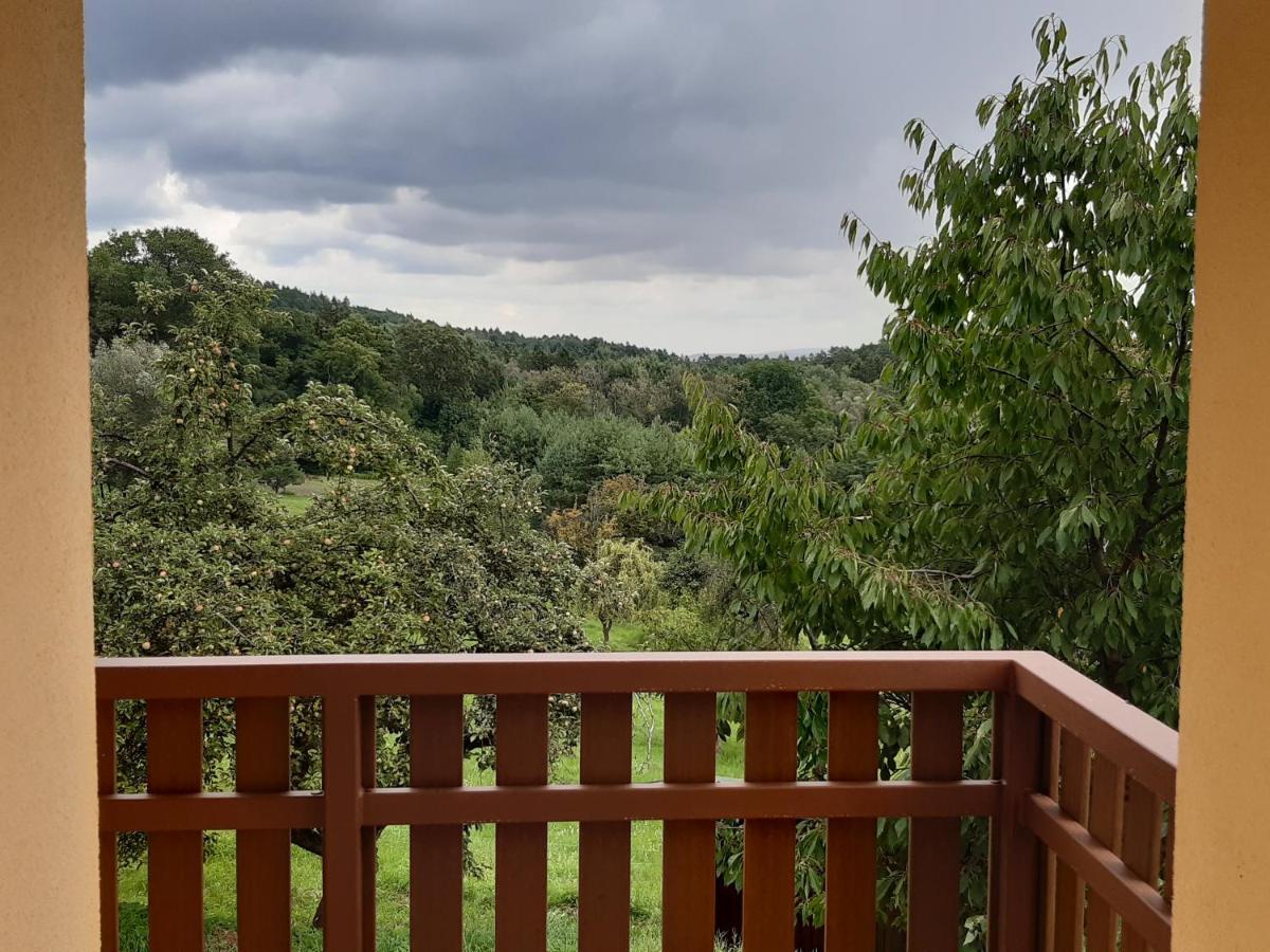 Prachov Apartmany U Zvonicky מראה חיצוני תמונה